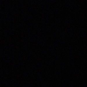 Meet your Posher, Shane